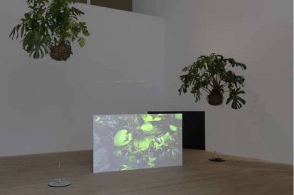 An Endless Present, 2013 - Milena Bonilla