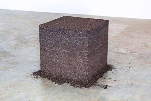 José Bento - Madeira, 2013