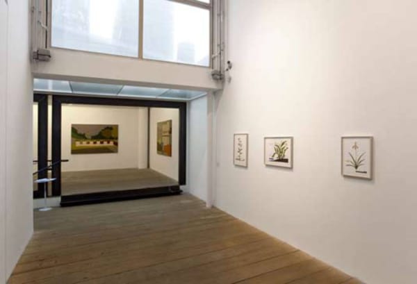Áporo, 2013. Mariana Serri - Galeria Marilia Razuk (crédito: Sergio Guerini)