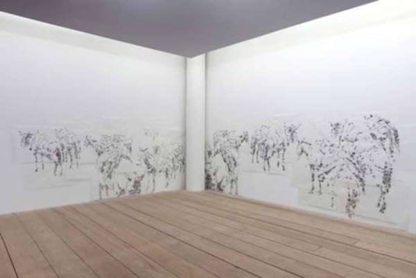 Vista da Exposição (Exhibition View)