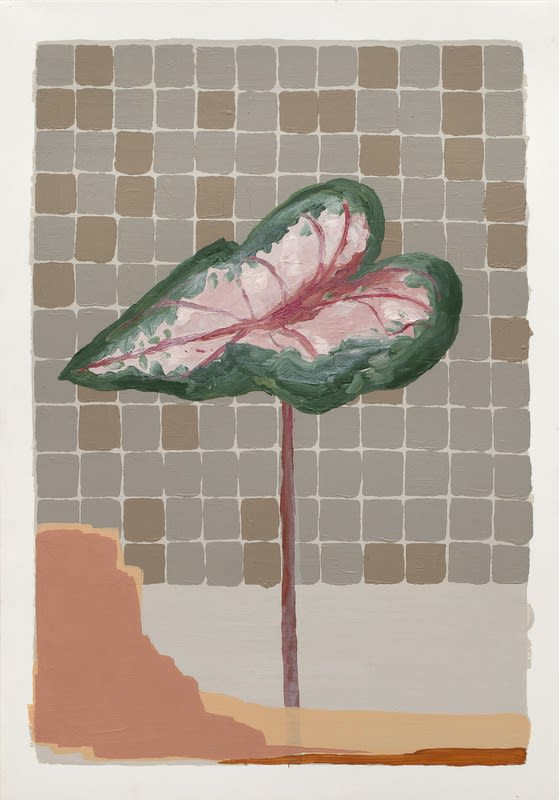 Mariana Serri, Malhada, 2011