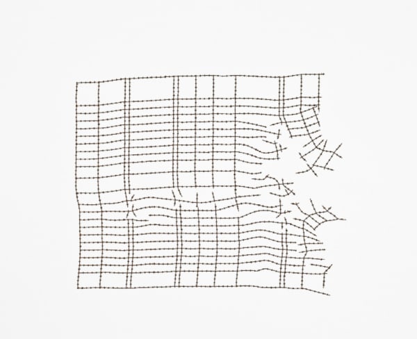 Johanna Calle, Imponderables 17, 2009