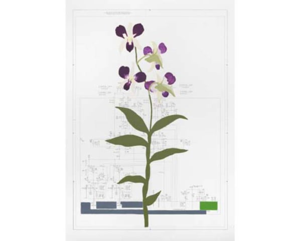 Mariana Serri, Da série Áporo (Denphall), 2013