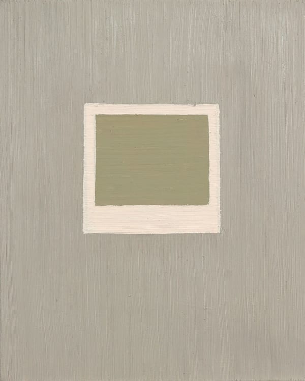 Ana Sario, Série Polaroids , 2013