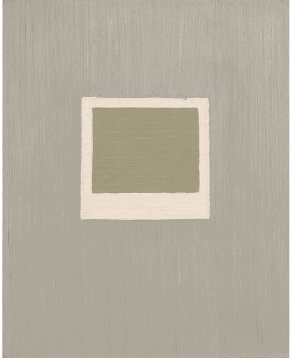 Ana Sario, Série Polaroids, 2013