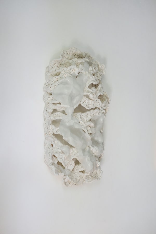 Anália Moraes, Costela n.11, 2024