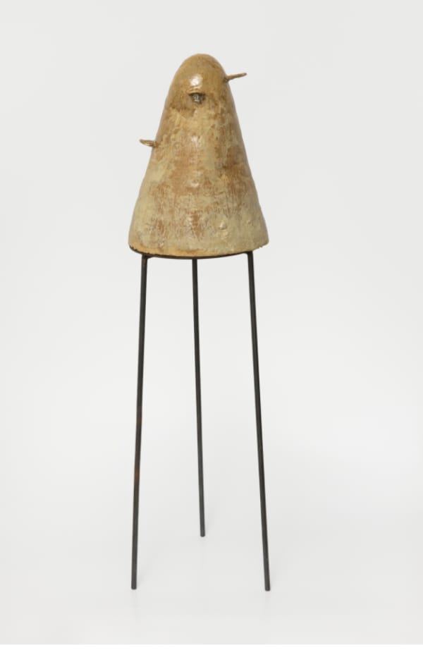 Carolina Colichio, Espécie 2, da série Companheiras, 2025