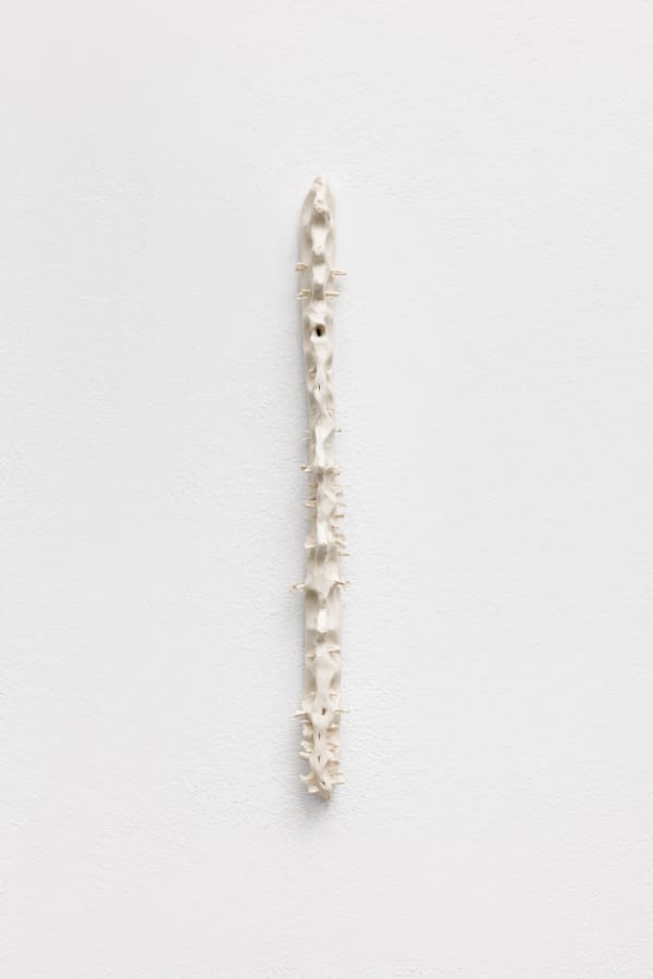 Carolina Colichio, Coluna III, 2025
