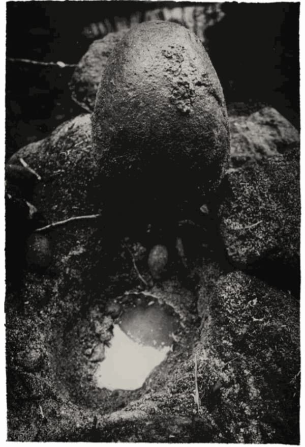 Maria Laet, Casa (House), 2013