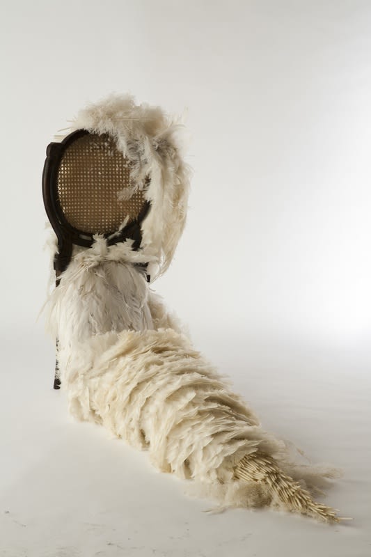 Zé Carlos Garcia, Cadeira, 2010