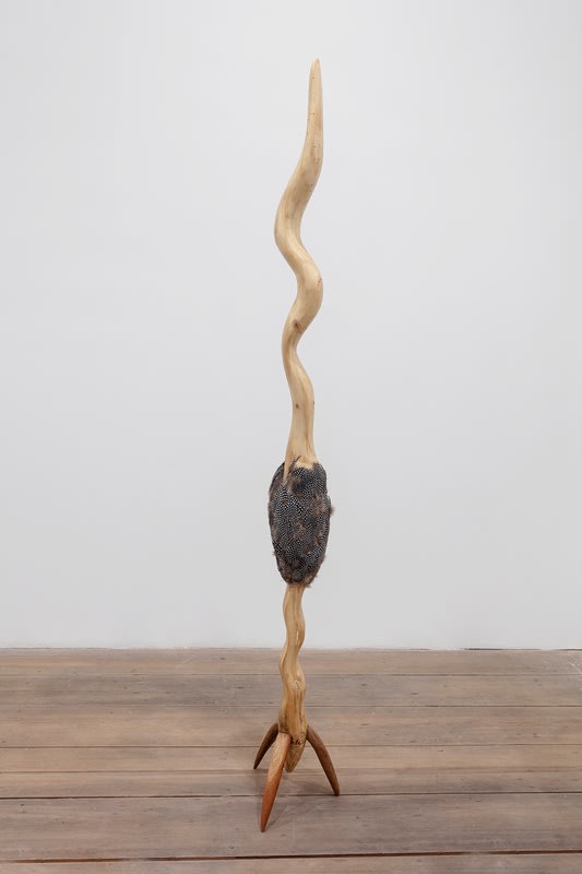 Zé Carlos Garcia, Vela, 2023