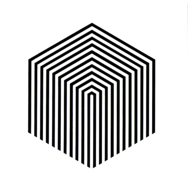 Julio Plaza, Hexacubos, 1966