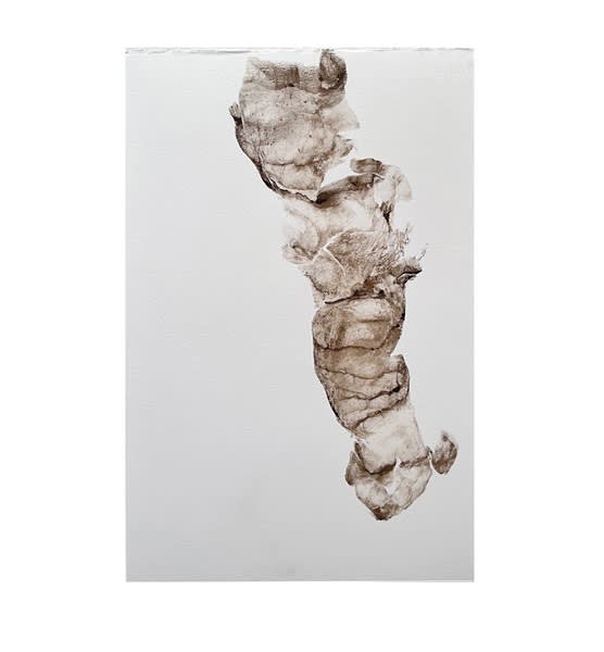 Open Collection: Maria Laet