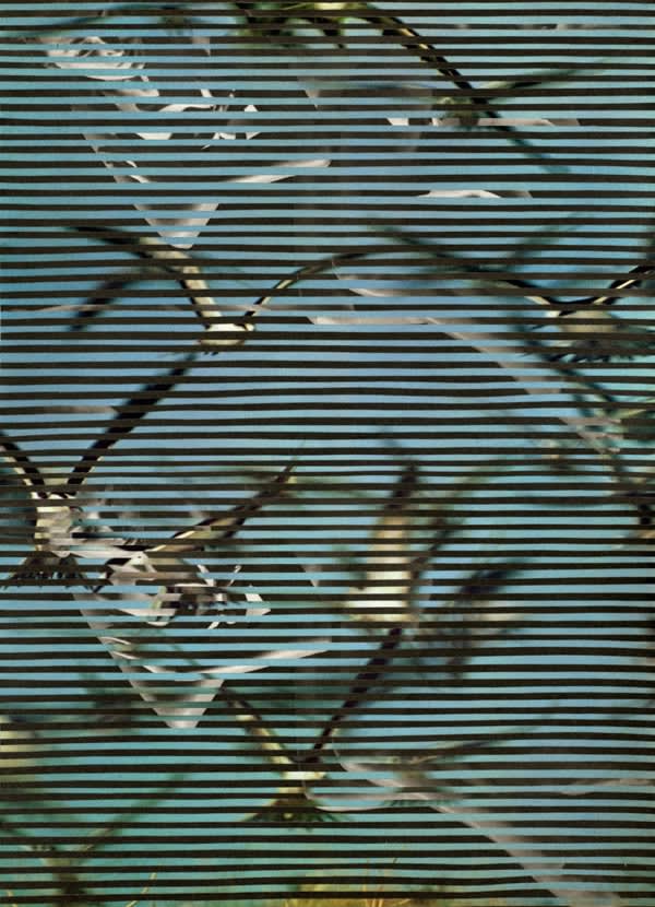 01824041E6Cbb551D0A5A988D2B5090C