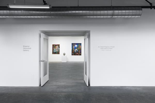 Ehg240611 Install 01