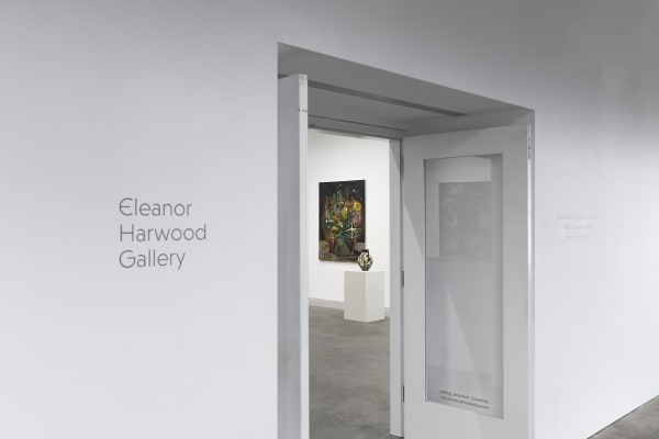 Ehg240611 Install 02