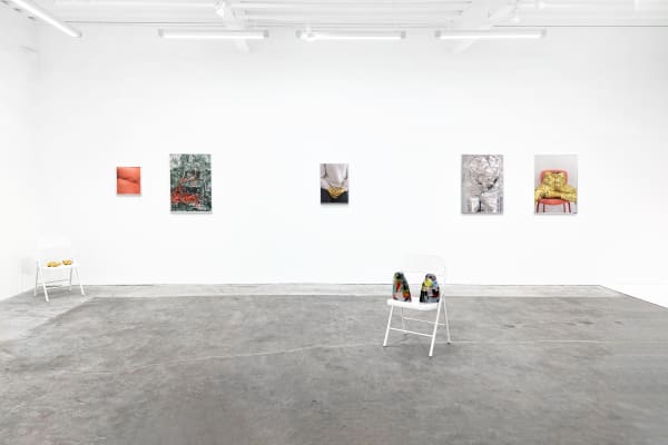 Ehg Playmateinstall 03