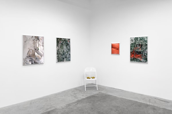 Ehg Playmateinstall 05