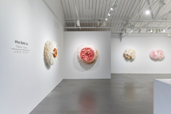 Ehg190419 Tiffanie Turner Installation View 1