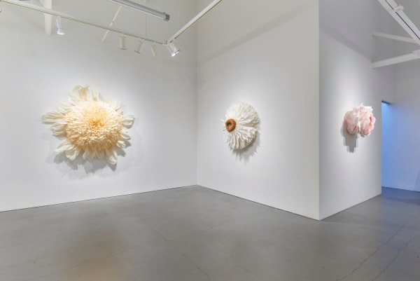 Ehg190419 Tiffanie Turner Installation View 17