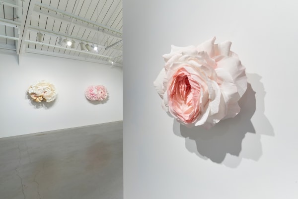 Ehg190419 Tiffanie Turner Installation View 23