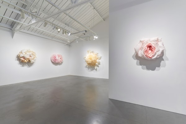 Ehg190419 Tiffanie Turner Installation View 6