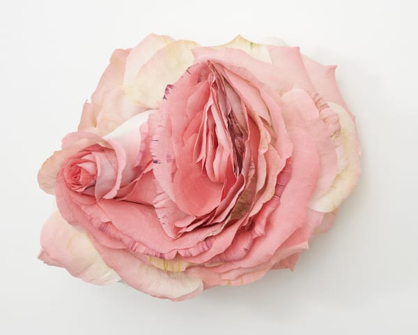 Ehg210112 Installation View 22