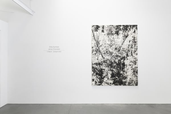 James Chronister Installation 11