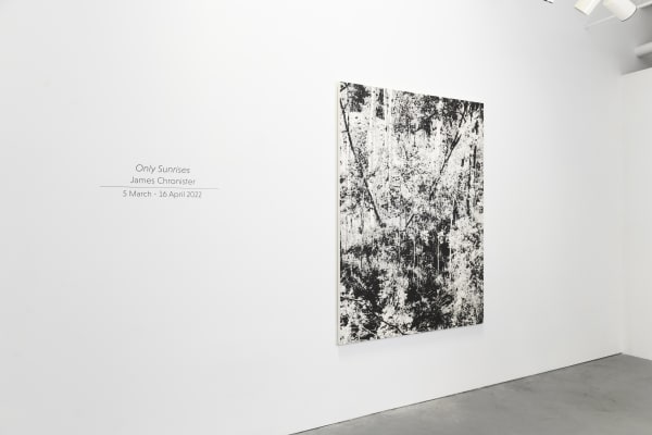 James Chronister Installation 12