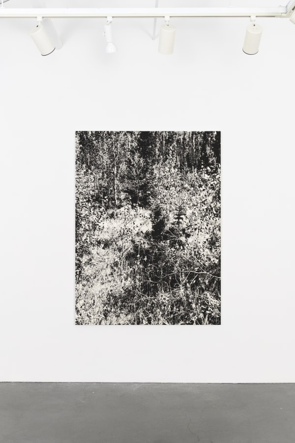 James Chronister Installation 16