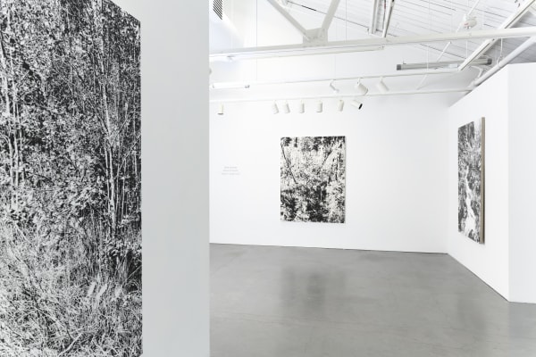 James Chronister Installation 22