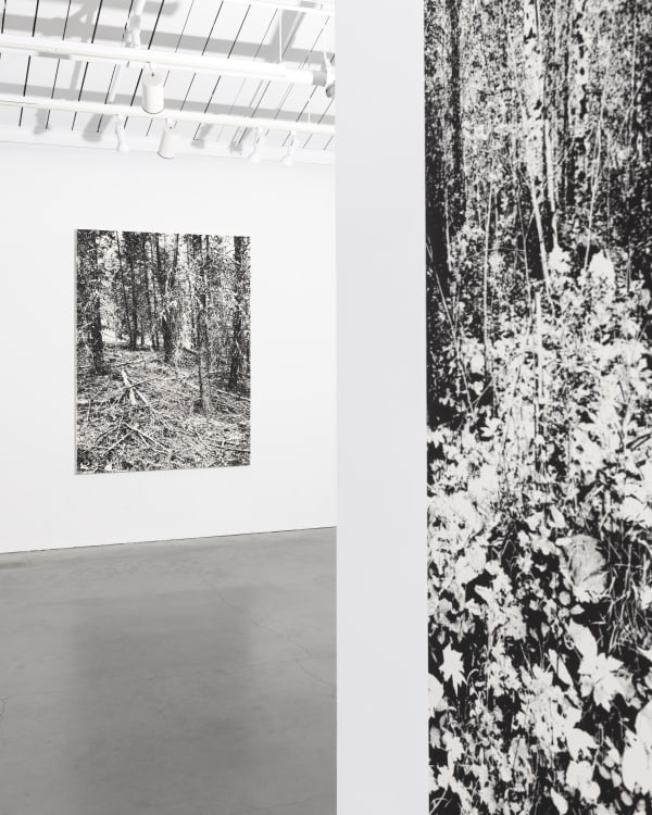 James Chronister Installation 30