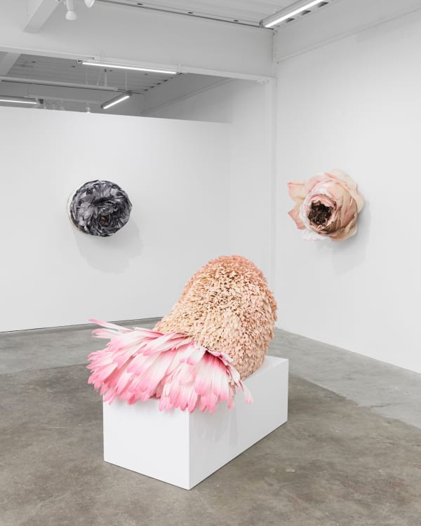 Ehg230913 Install 13