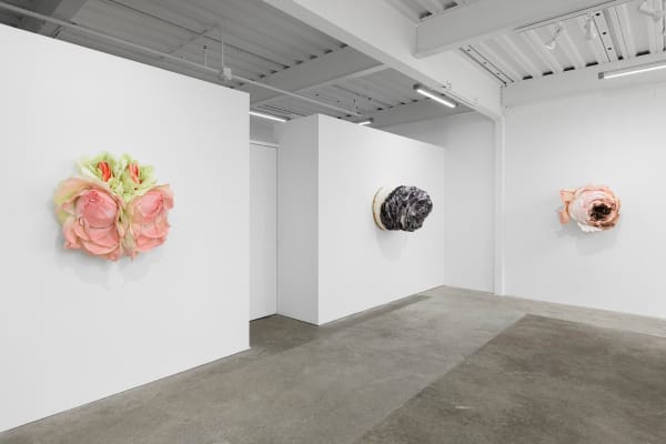 Ehg230913 Install 17