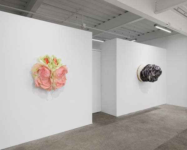 Ehg230913 Install 18