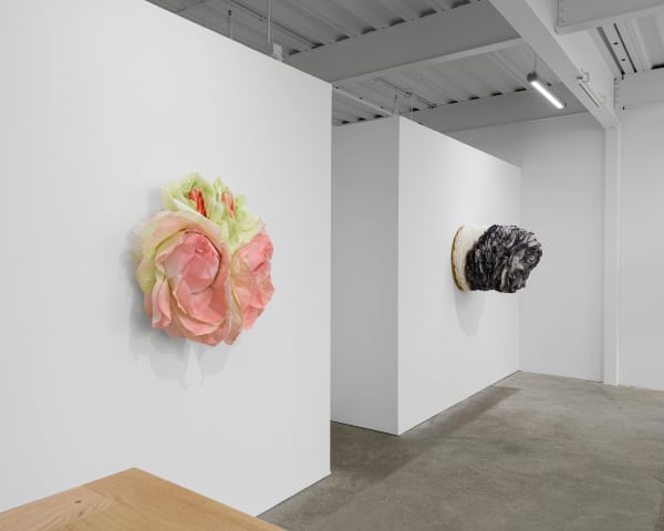 Ehg230913 Install 19