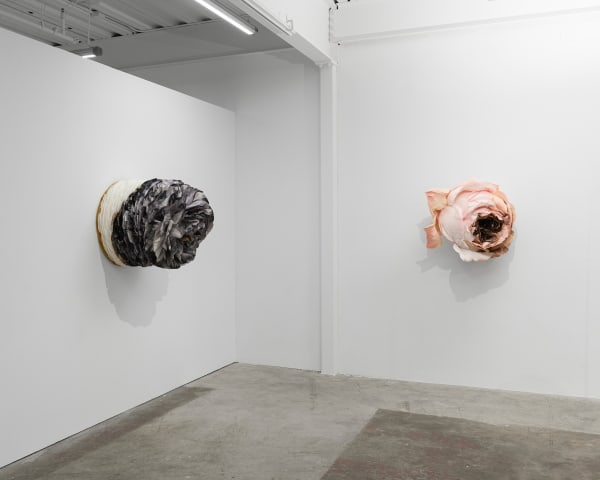 Ehg230913 Install 21