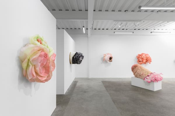 Ehg230913 Install 23