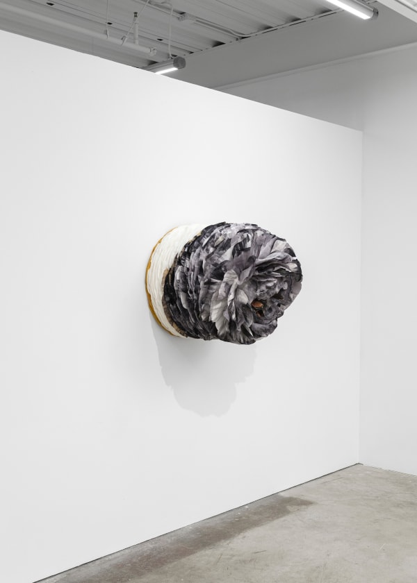 Ehg230913 Install 24