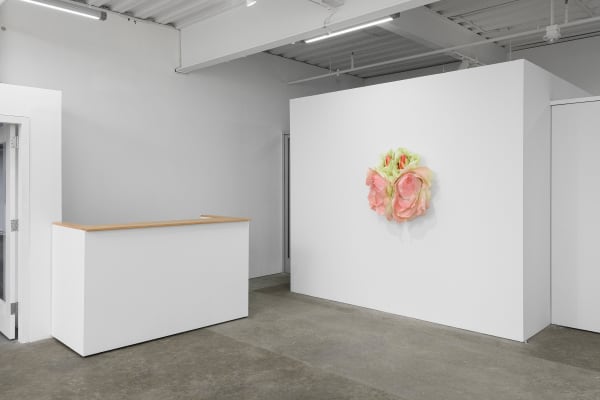 Ehg230913 Install 25