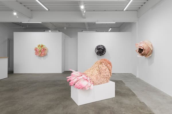 Ehg230913 Install 26