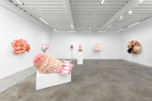 Ehg230913 Install 29