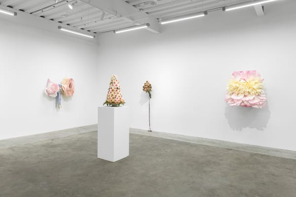 Ehg230913 Install 33