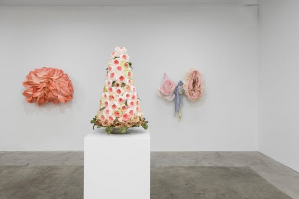 Ehg230913 Install 37