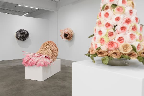 Ehg230913 Install 38