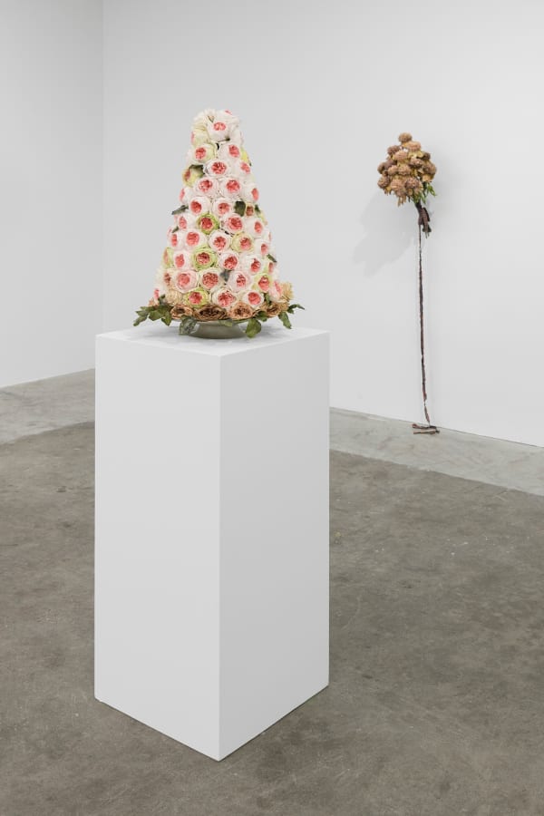 Ehg230913 Install 39