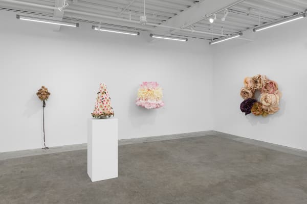 Ehg230913 Install 44