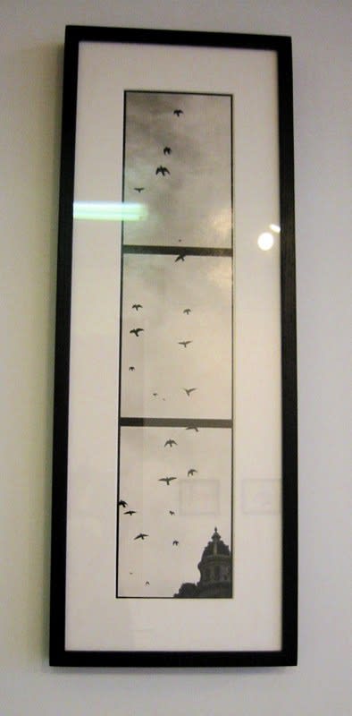 Untitled Joe Brook 28 X 10 Black And White Photo Print