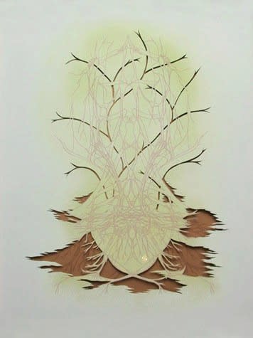 The Biomimicry Project