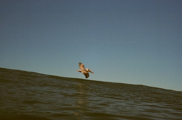 Lex Santos - Victory at Sutro , 2024